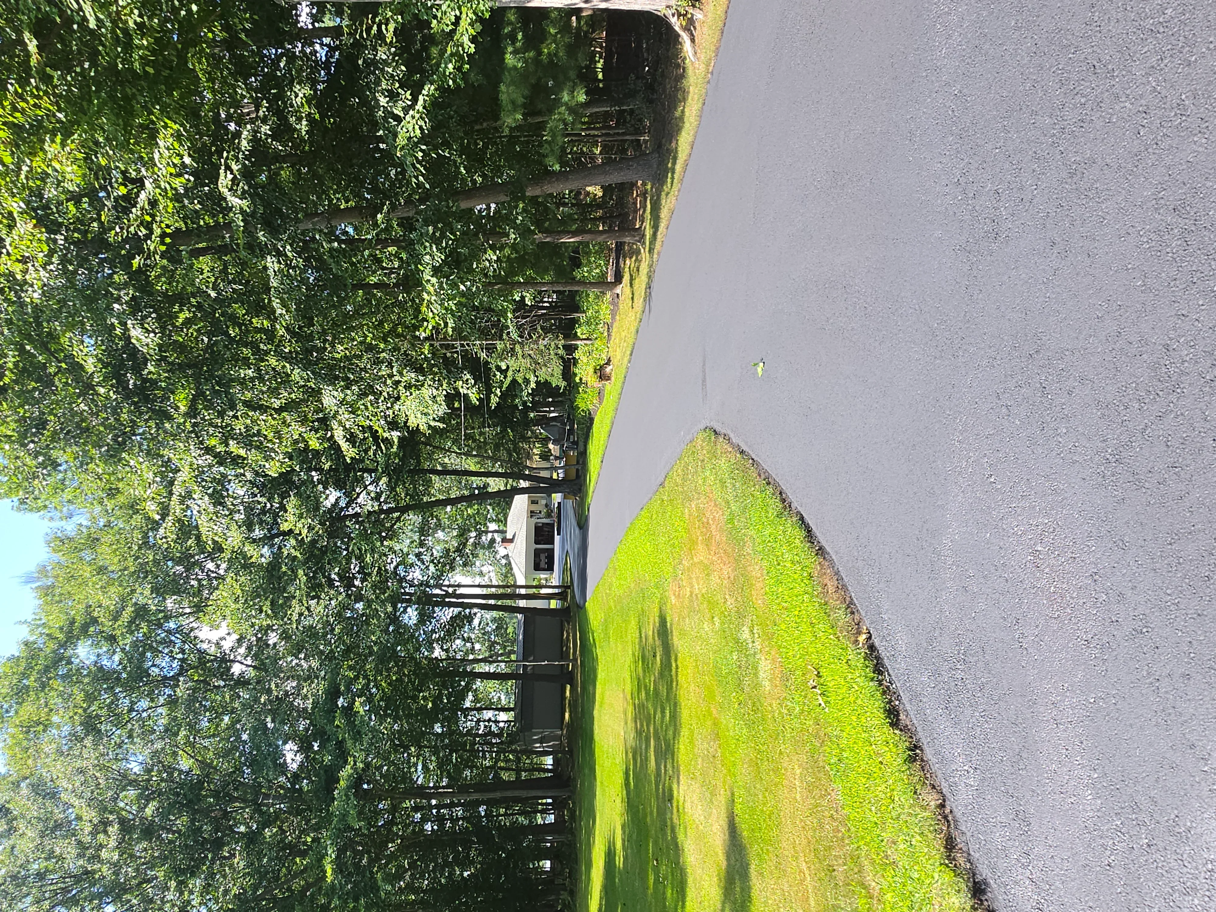 Sealed asphalt driveway with moss removal and protective sealcoat application