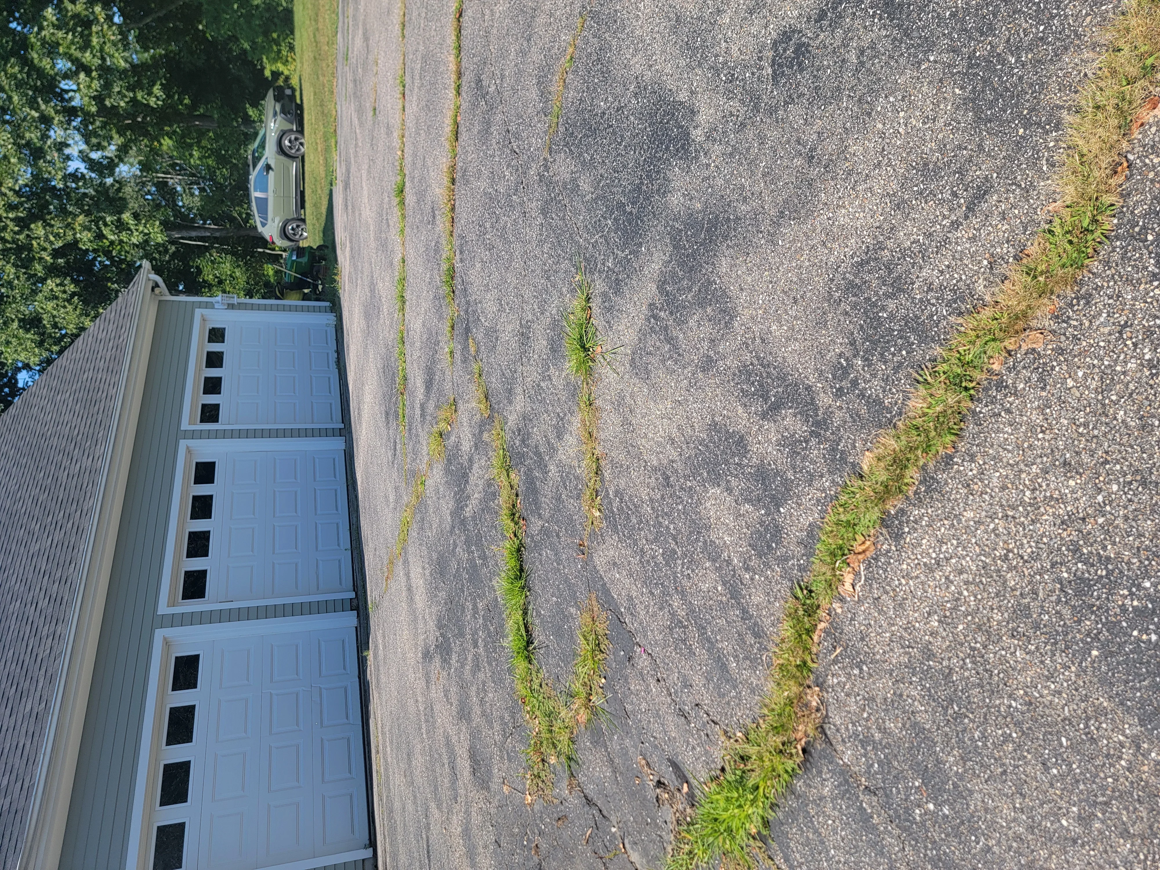 Residential asphalt driveway with sealcoating and weed growth along edges before treatment
