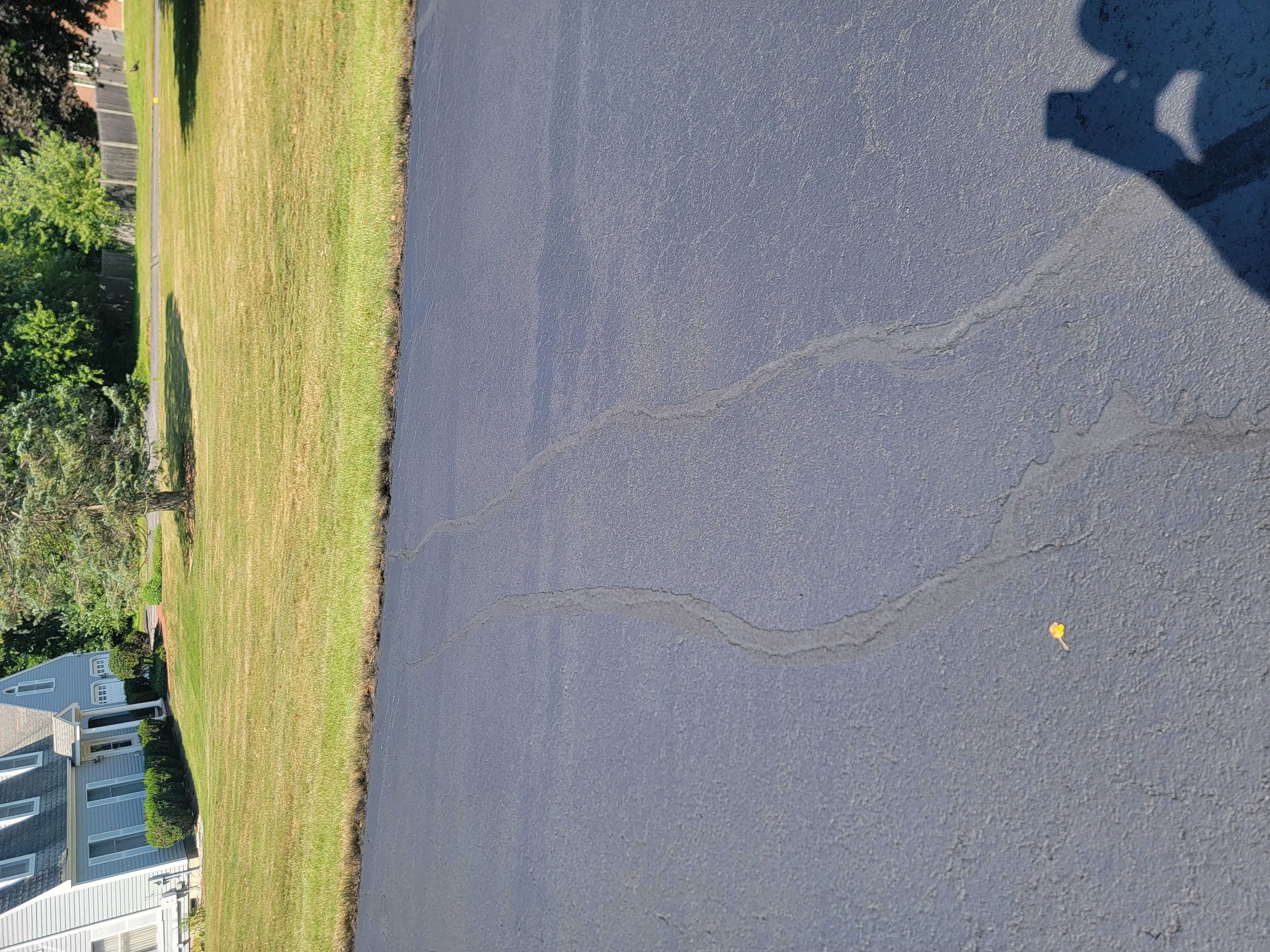Newly sealcoated asphalt driveway with dark finish and smooth surface texture